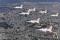 T-50 Black Eagle Team flies over Seoul, South Korea.