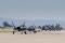 F-35A pilots from the 61st Fighter Squadron at Luke AFB, Arizona, line up to take off in late June 2015.