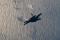 F-35A AF-2 has been used for the majority of loads testing.
