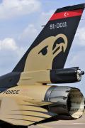 The specially painted black, gold, and silver F-16 flown by the demo team was unveiled on 15 April 2011 at Akinci, where the first public demonstration flight was performed in front of Abdullah Gül, the president of Turkey; military officials; and a large contingent of invited guests.