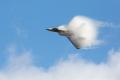An F-22 Raptor performs a high-speed pass as part of its demonstration flight showcasing some of its capabilities at JB Elmendorf-Richardson's Arctic Thunder Open House in July 2014.