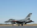 The US Navy has been flying F-16s at NAS Fallon since early 2002 when  the first of fourteen F-16s arrived (ten single-seat and four two-seat  versions). The aircraft, with distinctive paint schemes, are low-hour  Block 15 F-16s taken from desert storage at Davis-Monthan AFB, Arizona.