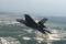 <p>USMC Lt. Col. Matt Taylor landed F-35C CF-2 at NAS Patuxent River,  Maryland, for the first time on 16 May 2011. Taylor ferried the second  F-35C on a 2.9-hour flight from Fort Worth, Texas. The flight was the  sixth for the aircraft. CF-2 joined five other F-35s operating at the  test site.</p>