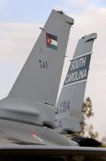 Jordanian and South Carolina ANG F-16 tails pose side by side at Falcon Air Meet 2009 in Jordan. Three countries participated in FAM 2009. The United States was represented by the 169th Fighter Wing, the South Carolina Air National Guard unit.