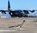 6. Tucson International Airport, Tucson, Arizona, 2009: “I was trying to show the heat waves coming off the ramp during the annual MAFFS [Modular Airborne Firefighting System] training and this roadrunner essentially photobombed me. He just ran into the frame and then ran off.”