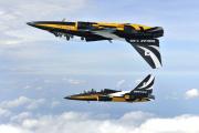 <p>The Black Eagles, officially known as the Republic of Korea Air Force Aerobatic Team, exchanged their A-37 light-attack aircraft for T-50 Golden Eagle supersonic trainers in 2009. The team converted to the T-50B with its distinctive black, white and yellow paint scheme for the 2011 show season. The Black Eagles made their first appearance at the Farnborough International Air Show in 2012.</p>